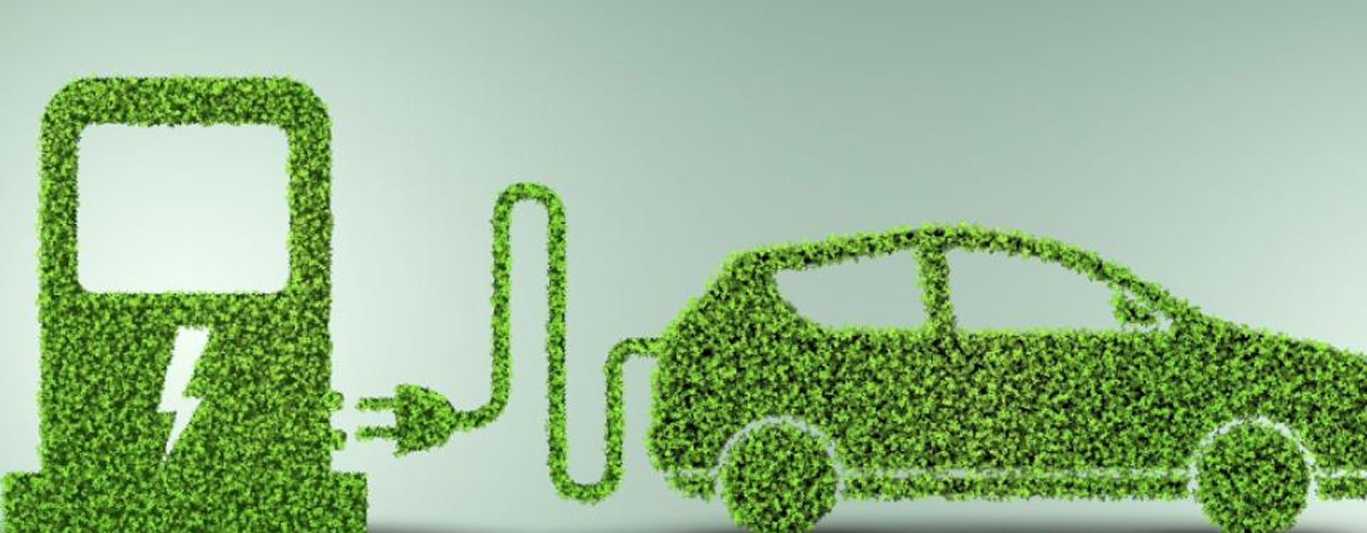 E-Vehicle Distributorship